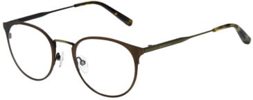 Ted Baker TB4350 glasses in Matte Brown