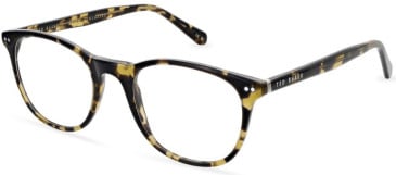 Ted Baker TB8279 glasses in Matt Tort