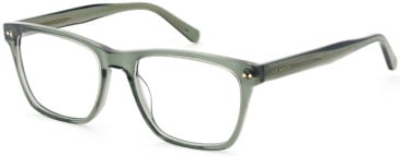 Ted Baker TB8281 glasses in Olive Green
