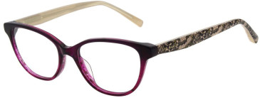 Ted Baker TB9252 glasses in Crystal Purple Pink Horn