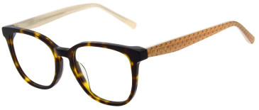 Ted Baker TB9255 glasses in Tortoise