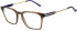 Hackett HEB285 glasses in Gloss Crystal Brown