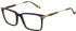 Hackett HEB288 glasses in Tort