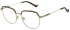 Hackett HEB294 glasses in Matt Light Gold/Tortoise