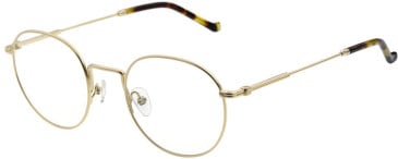 Hackett HEB312 glasses in Shiny Light Gold