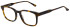 Sandro SD1041 glasses in Tort