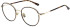 Sandro SD4031 glasses in Dark Tort