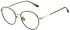 Sandro SD4031 glasses in Crystal Dark Green