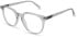 United Colors of Benetton BEO1100 glasses in Gloss Crystal Grey