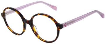 United Colors of Benetton BEO1092 glasses in Gloss Brown Tort