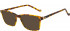 Hackett HEB144 Glasses in Brown Tortoiseshell