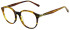 Scotch and Soda SS4024 glasses in Gloss Brown Horn