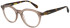 Sandro SD2042 glasses in Milky Mushroom