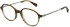 Sandro SD1031 glasses in Brown Grey Horn