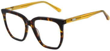 Pepe Jeans PJ3512 glasses in Gloss Tort
