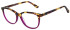 Joules JO3056 glasses in Tort Mulberry