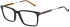 Hackett HEB288 glasses in Shiny Black