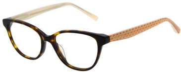 Ted Baker TB9252 glasses in Tortoise