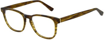 Ted Baker TB8282 glasses in Khaki Horn