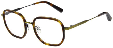 Ted Baker TB4351 glasses in Antique Gold