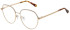 Ted Baker TB2297 glasses in Shiny Rose Gold