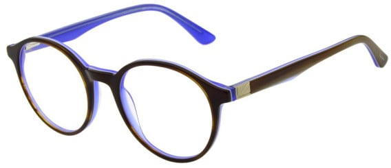 Pepe Jeans PJ3516 glasses in Gloss Horn/Blue