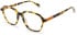United Colors of Benetton BEO1099 glasses in Gloss Classic Tort