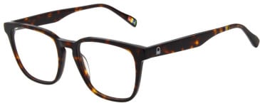 United Colors of Benetton BEO1096 glasses in Gloss Dark Tort