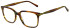 Scotch and Soda SS4025 glasses in Gloss Brown Horn