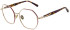Scotch and Soda SS3028 glasses in Shiny Light Gold
