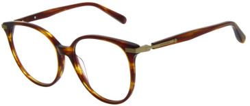 Scotch and Soda SS3020 glasses in Gloss Amber Tort