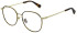 Sandro SD3016 glasses in Brushed Light Gold