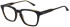 Sandro SD1035 glasses in Black/Tort