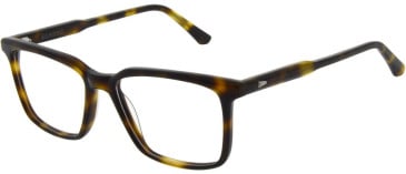 Sandro SD1033 glasses in Tort
