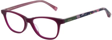 Joules JO3067 glasses in Shiny Milky Mulberry
