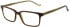 Hackett HEB318 glasses in Gloss Solid Brown Horn