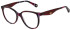 Christian Lacroix CL1143 glasses in Red Tort