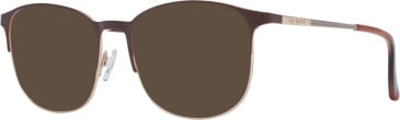 Ted Baker TB4311 Sunglasses in Brown