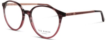 Ted Baker TB9219 Glasses in Berry Tortoise