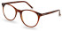 hackett HEB276 glasses in Dark Tort