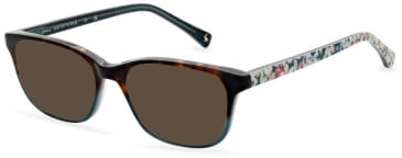 Joules JO3062 sunglasses in Gloss Dark Tort/Green