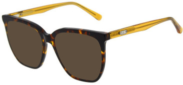 Pepe Jeans PJ3512 sunglasses in Gloss Tort
