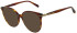Scotch and Soda SS3020 sunglasses in Gloss Amber Tort