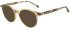 Scotch and Soda SS3021 sunglasses in Gloss Crystal Blush