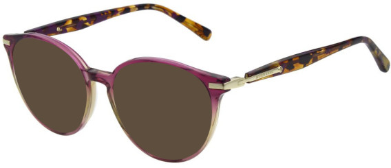 Scotch and Soda SS3026 sunglasses in Gloss Crystal Grape