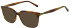 Scotch and Soda SS4025 sunglasses in Gloss Brown Horn