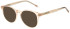 United Colors of Benetton BEO1091 sunglasses in Gloss Crystal Peach