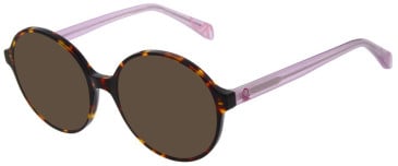 United Colors of Benetton BEO1092 sunglasses in Gloss Brown Tort