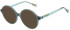 United Colors of Benetton BEO1092 sunglasses in Gloss Milky Green