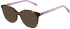 United Colors of Benetton BEO1093 sunglasses in Gloss Brown Tort